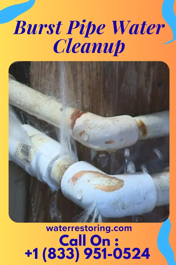 Burst Pipe Water Cleanup in Brevard, NC