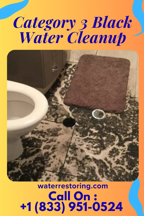 Category 3 Black Water Cleanup in Brevard, NC
