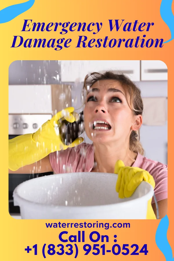 Emergency Water Damage Restoration in Brevard, NC