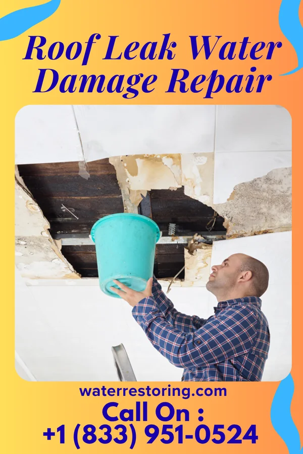 Roof Leak Water Damage Repair in Brevard, NC