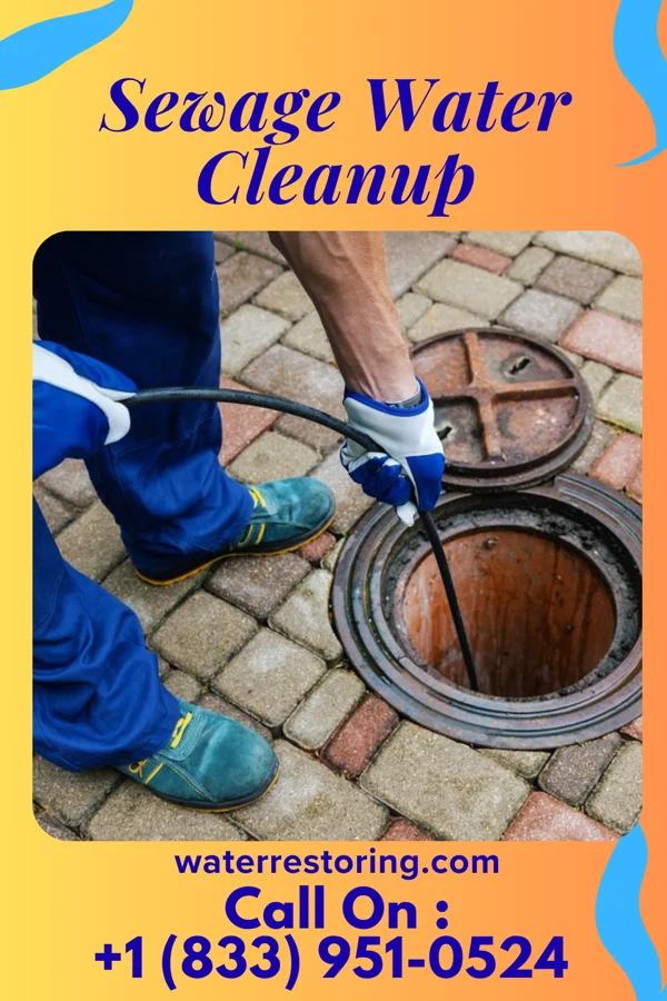 Sewage Water Cleanup in Brevard, NC