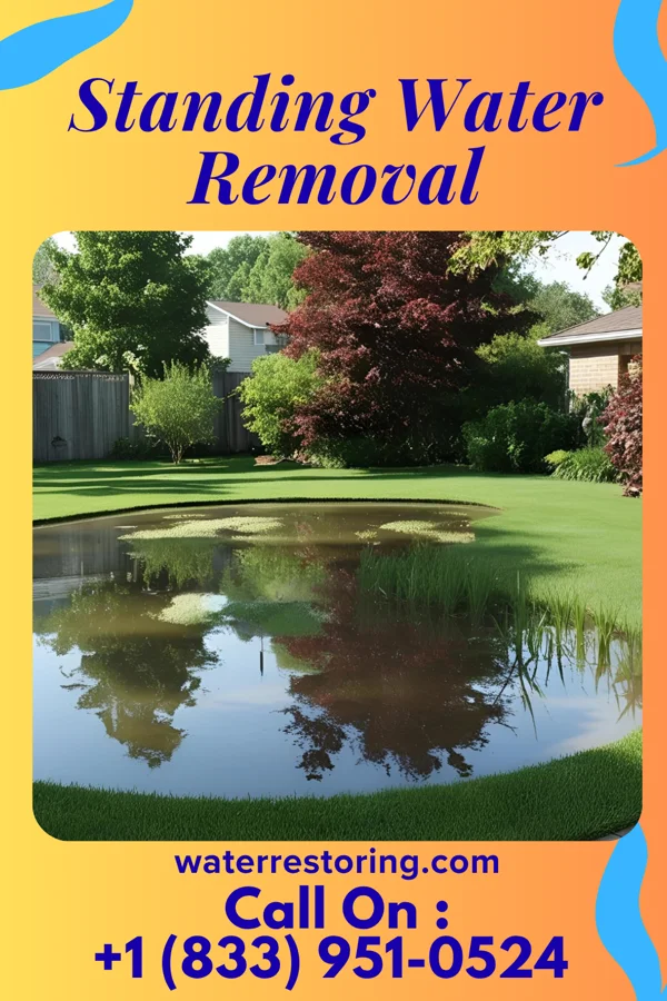 Standing Water Removal in Brevard, NC